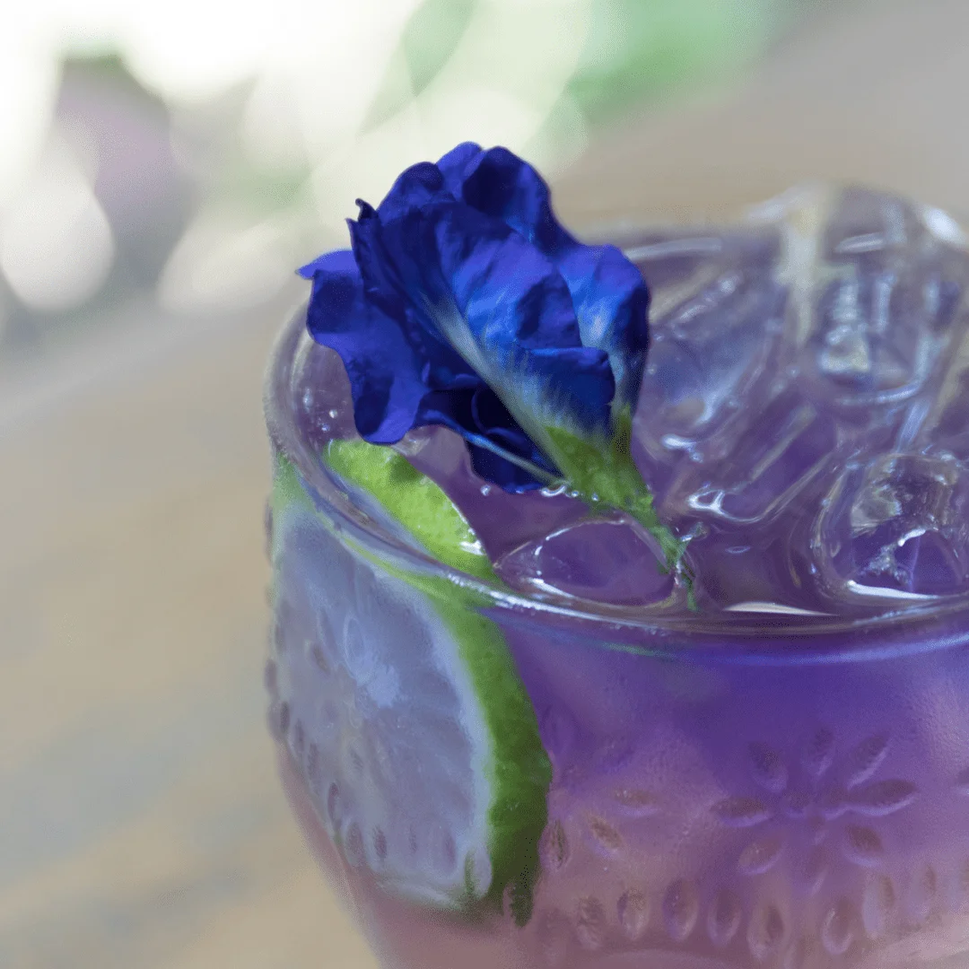 Martini Moves Collection