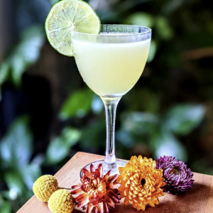 Bitter Orange Simple Syrup - Nic Lim Drinks