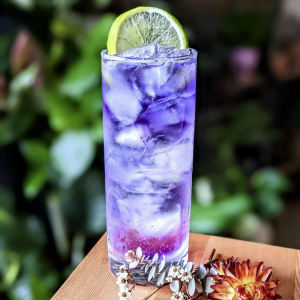 Indigo Simple Syrup- Nic Lim